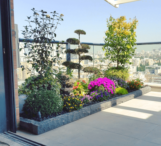 תכנון והקמת גינה 5